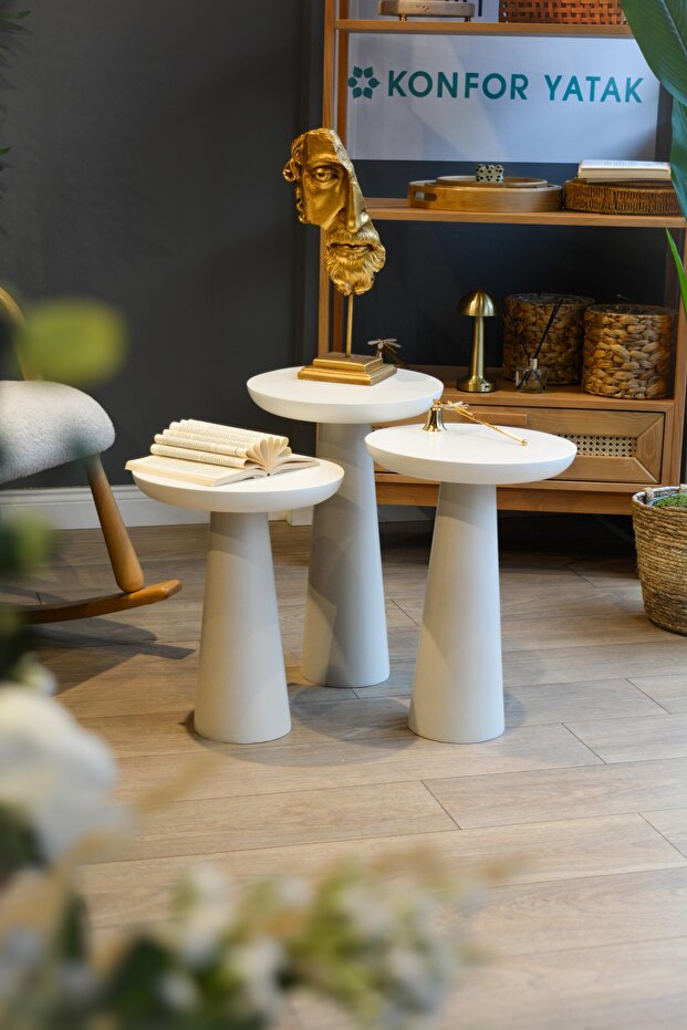 3 lü mantar zigon - 1