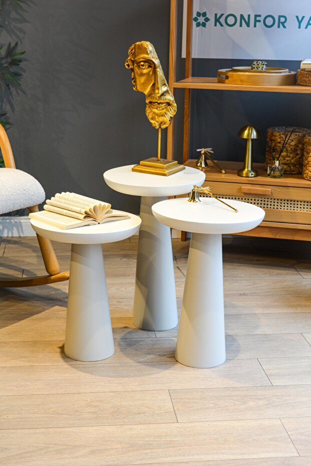 3 lü mantar zigon - 2