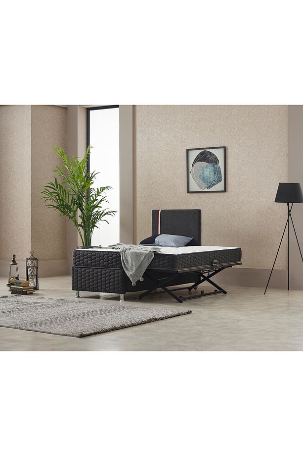 Sardunya Başlıklı Yavrulu Baza - 1