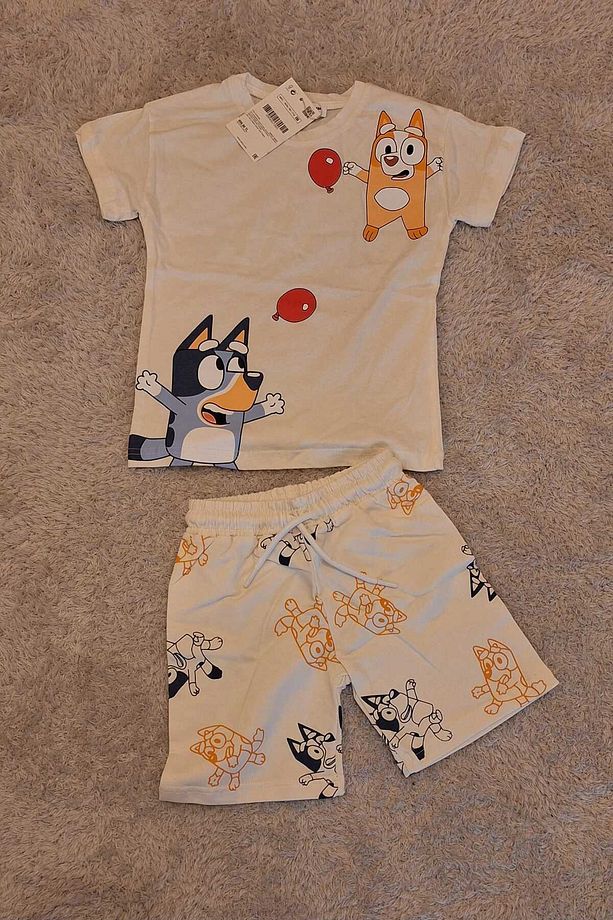 Erkek Çocuk Bluey Baskılı Tshirt Ve Şort Alt Üst Takım - 4