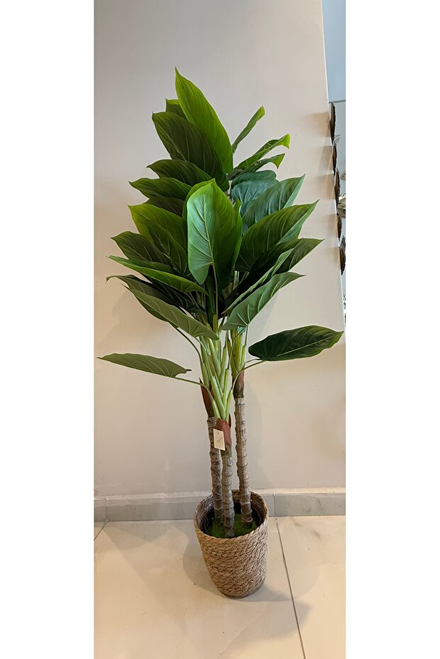 Rod green turtle back90cm - 1