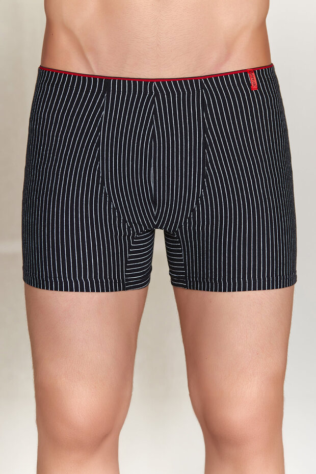 4433 Erkek Boxer - 1