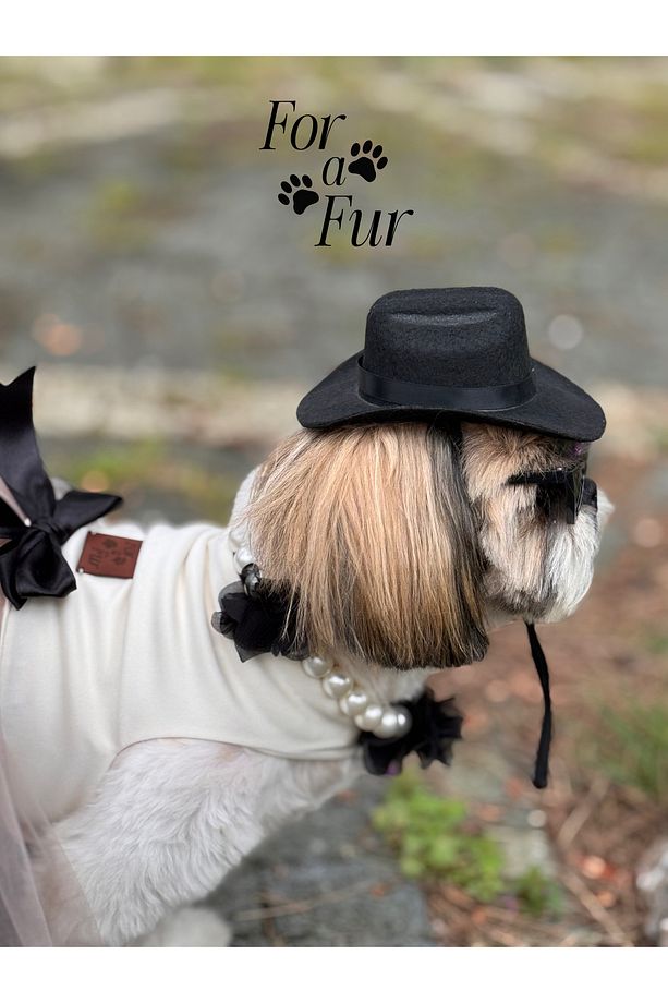 Kedi ve Köpek Kolyesi Siyah Çiçek Detaylı İnci Kolye - 1