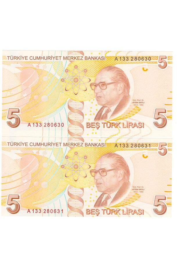 9. EMİSYON 5 tl KAĞIT PARA 'A' SERİSİ DEĞERLİ SERİ ÇİL SERİ TAKİPLİ 2 ADET - 1