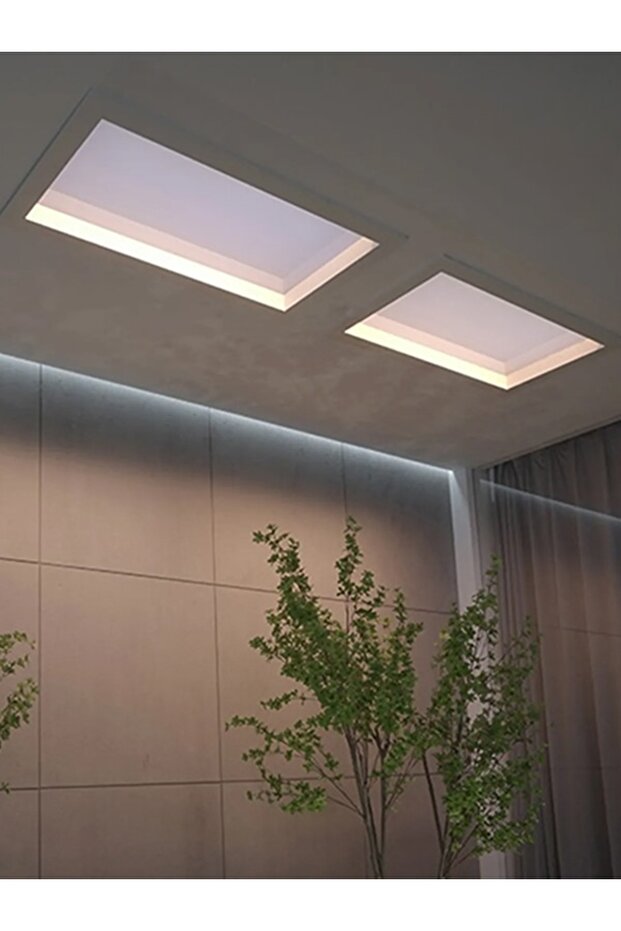 Skylight - 1