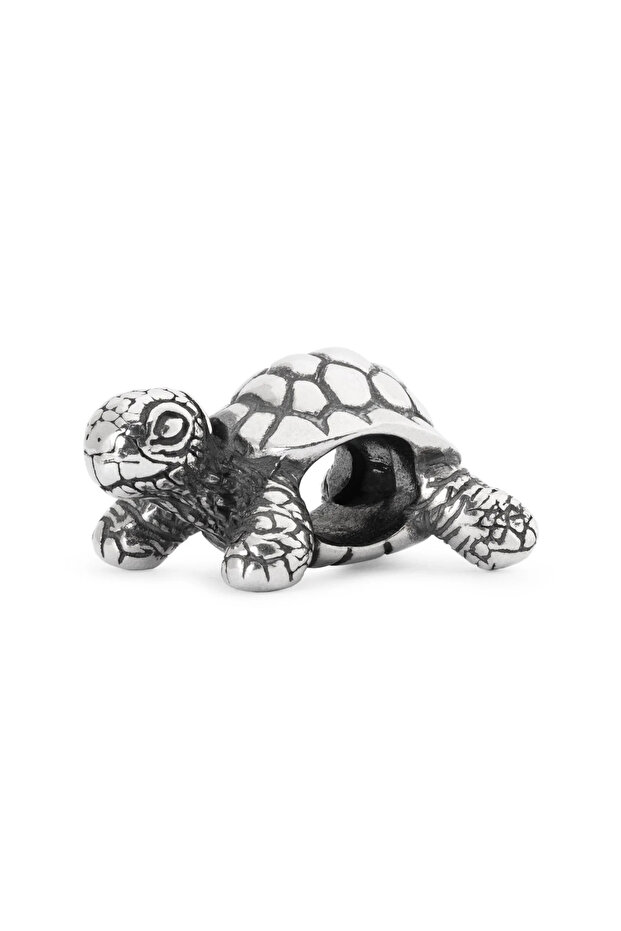 Afrika Kaplumbağası Charm