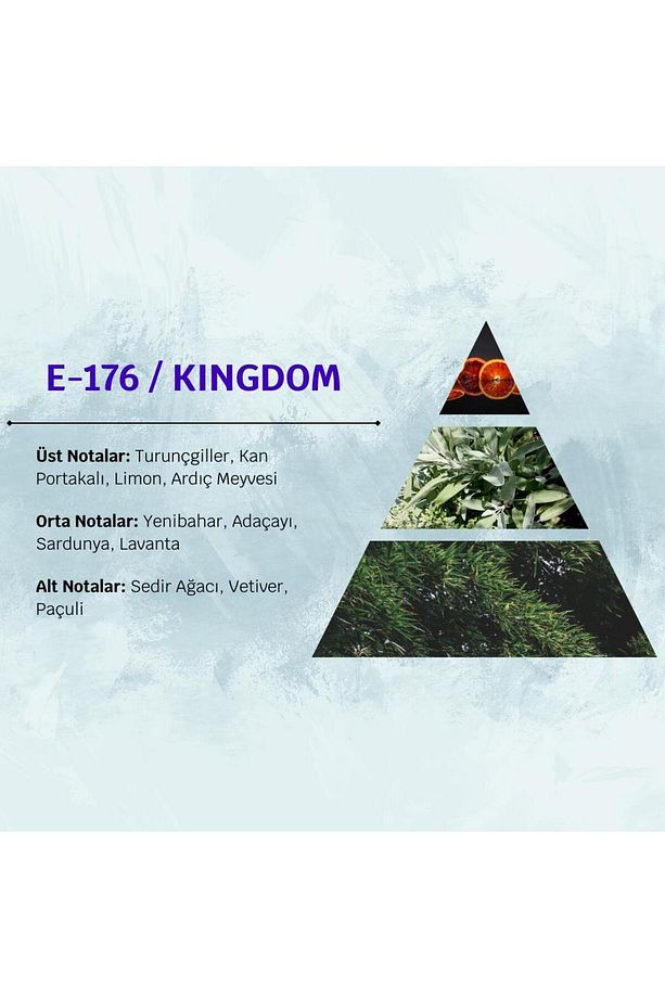 Kingdom E176 100 ml Erkek Parfüm - 5