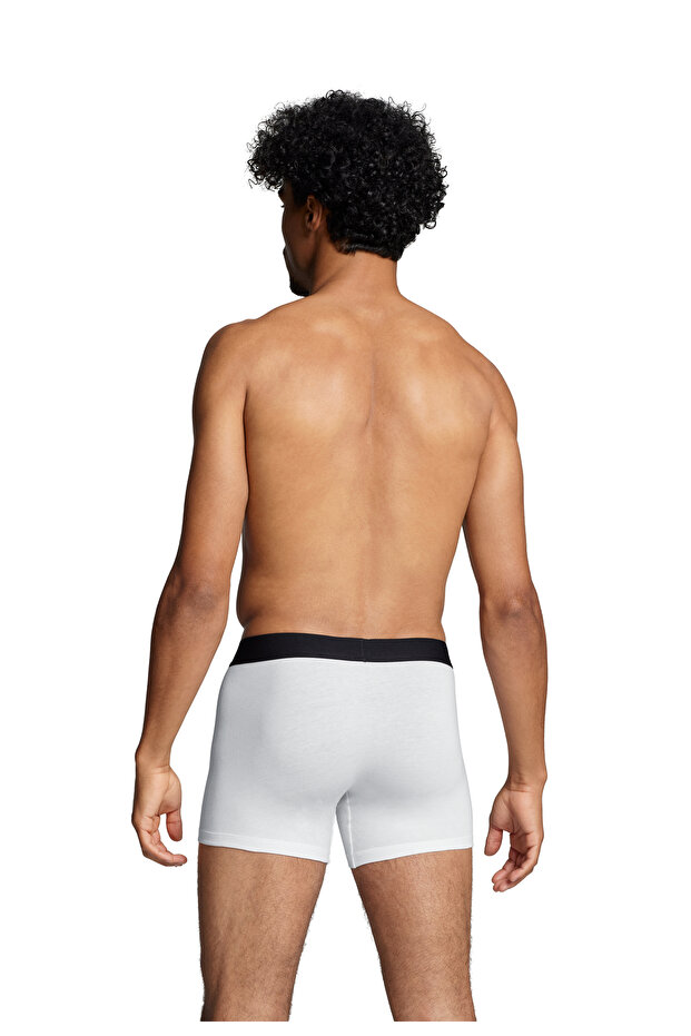 LEVIS MEN Solid Basic BOXER BRIEF - 2