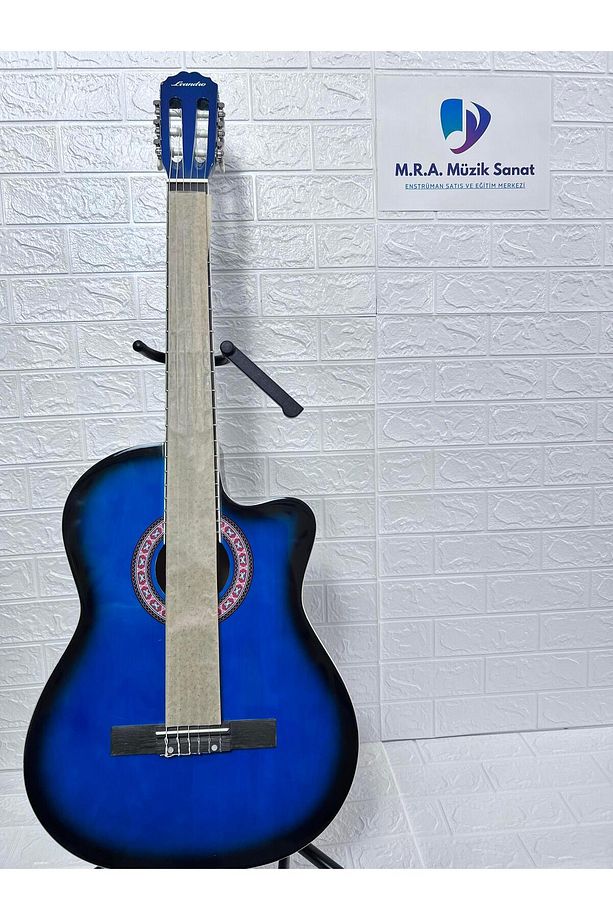 Klasik Gitar - 1