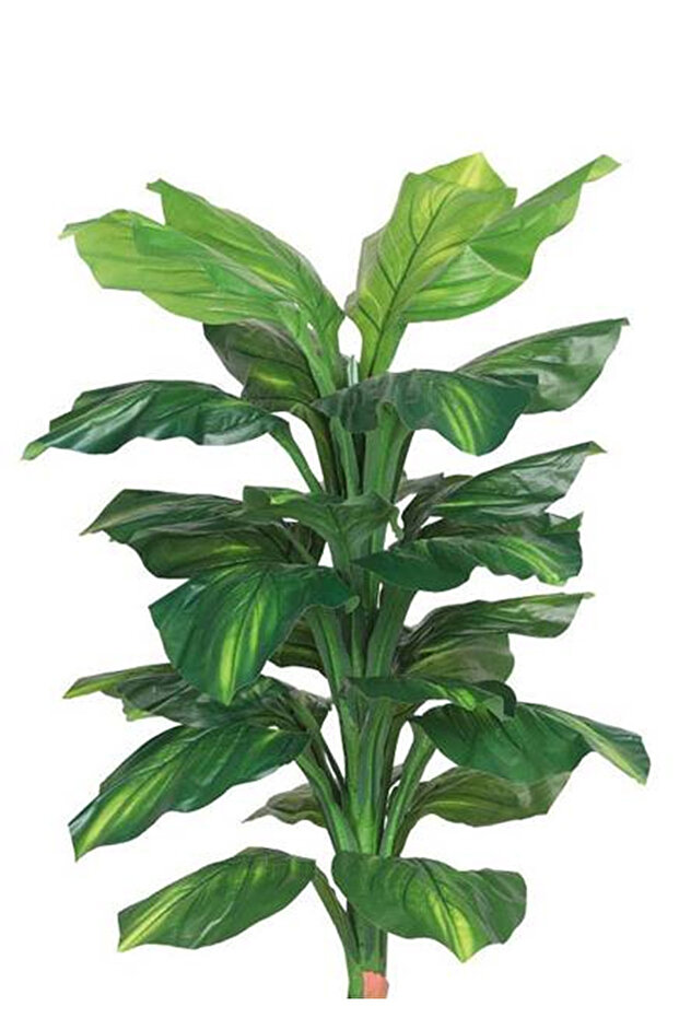 شجرة خضراء صغيرة بمركن بلاستيك اسطوانى - 2