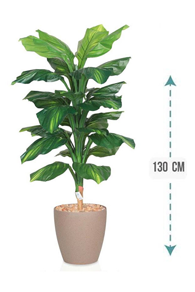 شجرة خضراء صغيرة بمركن بلاستيك اسطوانى - 1