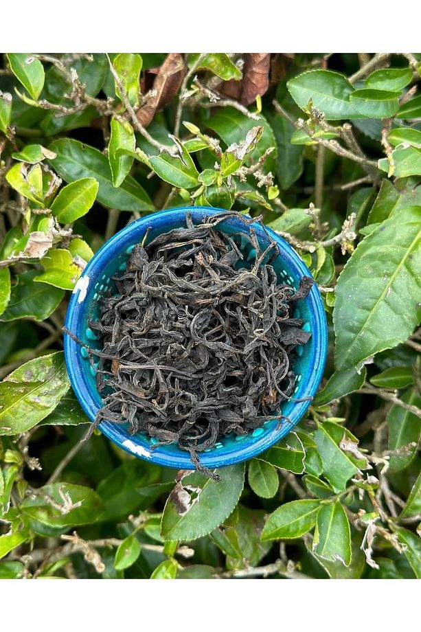 OOLONG ÇAY 2,5 yaprak çaydan özel üretim 50 gr - 2