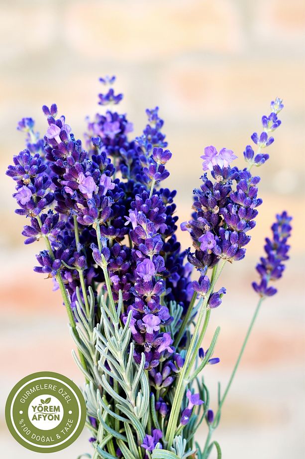 Isparta Keçiborlu Yerli Mahsul Hoş Kokulu Lavanta Çiçeği Kurusu {lavandula Angustifolia} | 70gr. - 4