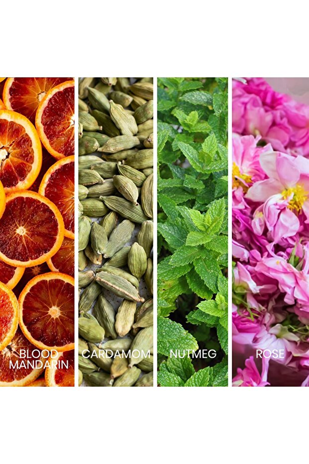 Dapper for Men Eau De Parfum 100ml - 6