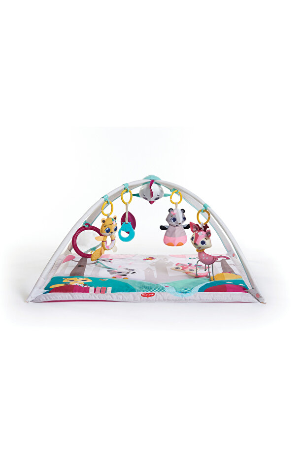 لعبة ألعاب نمو الأميرة الصغيرة للأطفال حديثي الولادة - 4