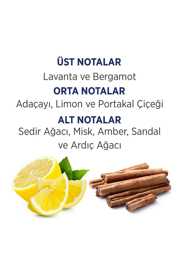 100 ml Edt 150 ml Deodorant 2 Li Erkek Set - 3