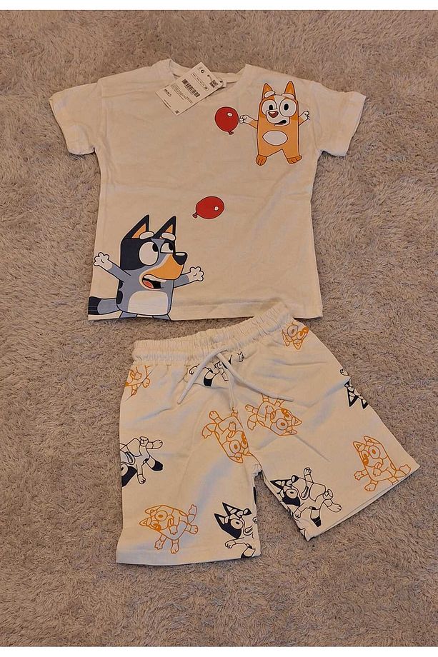 Erkek Çocuk Bluey Baskılı Tshirt Ve Şort Alt Üst Takım - 5