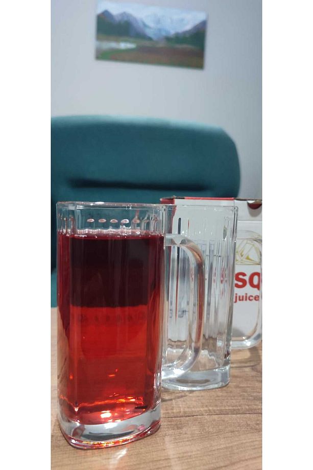 Ayran çalgam bardağı 280 CC Elmas Square juıce Mug - 3