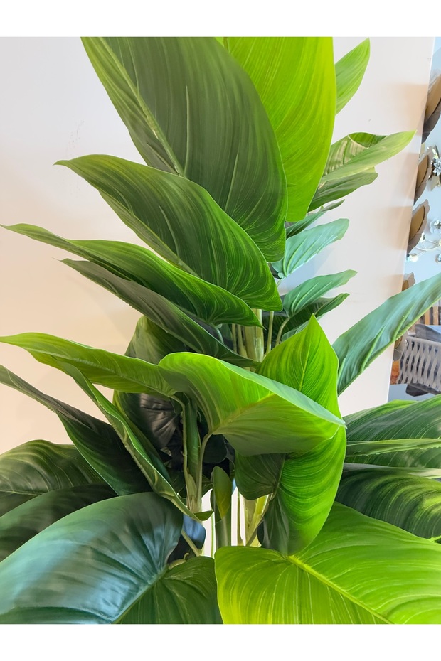 Green hibiscus130cm - 3