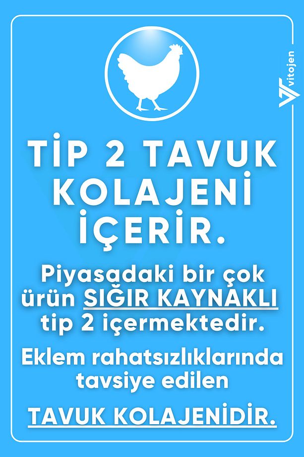 Complex Kolajen | Tavuk Balık Sığır Yumurta | Tavuk Kaynaklı Tip 2 Kolojen | Katkısız Kolejen Peptit - 3