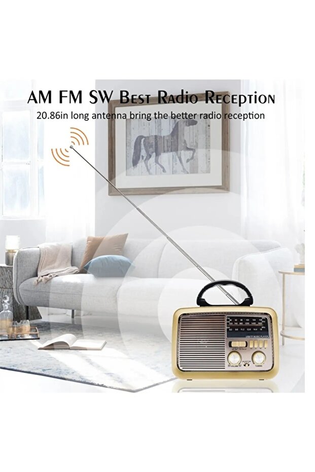 A portable radio that works with Bluetooth technology  and contains a flashlight - 4