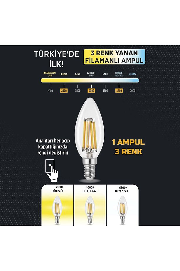 3 Renkli Led Filament Rustik Ampul 6W E14 C35 ERD-260 - 2