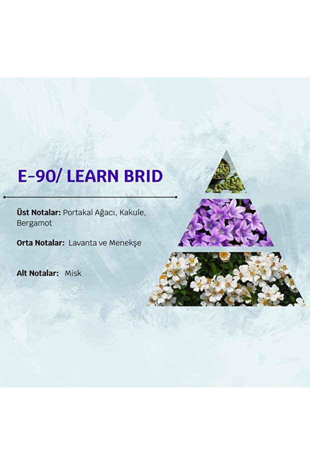 Learn Brıd E90 50ml Ferah&misk Erkek Parfüm - 4