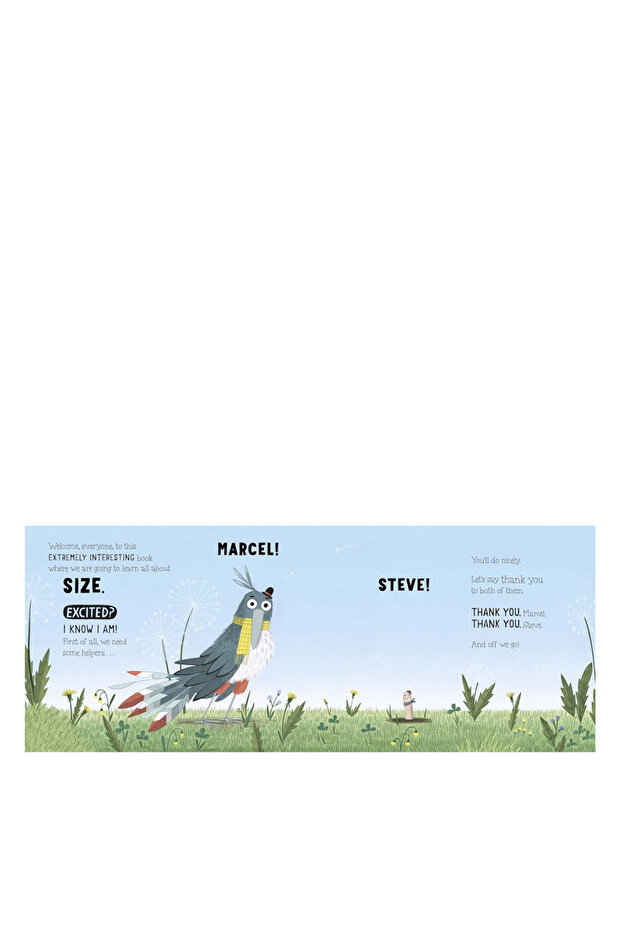 من أكل ستيف - 2