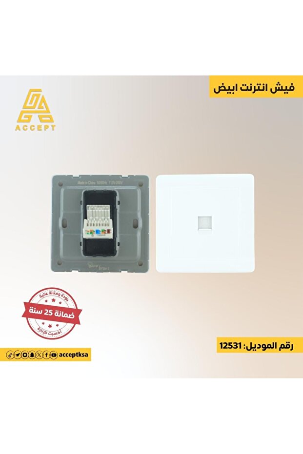 فيش انترنت باللون الأبيض - 1