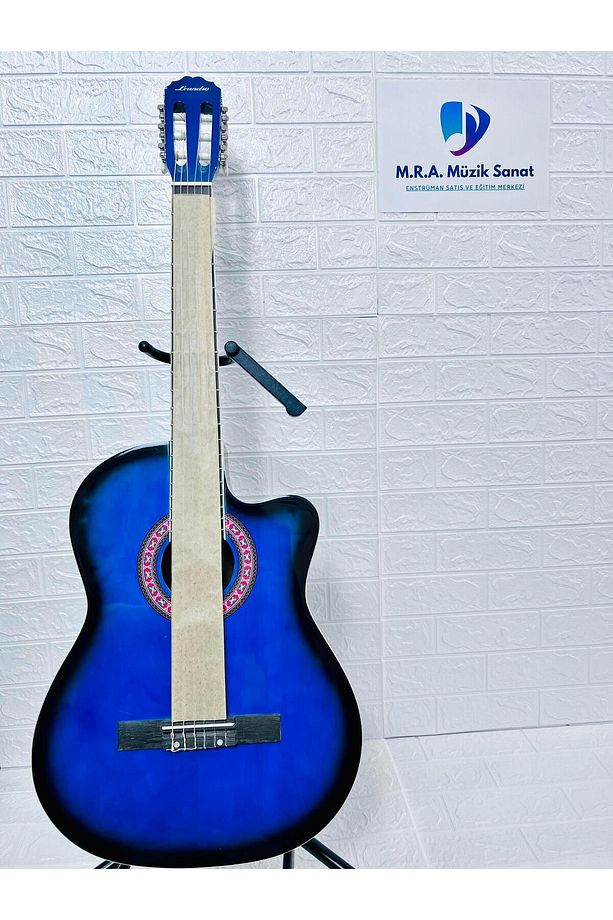 Klasik Gitar - 3