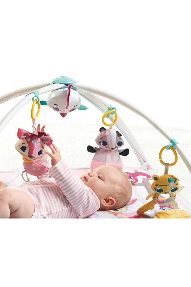 لعبة ألعاب نمو الأميرة الصغيرة للأطفال حديثي الولادة - 5