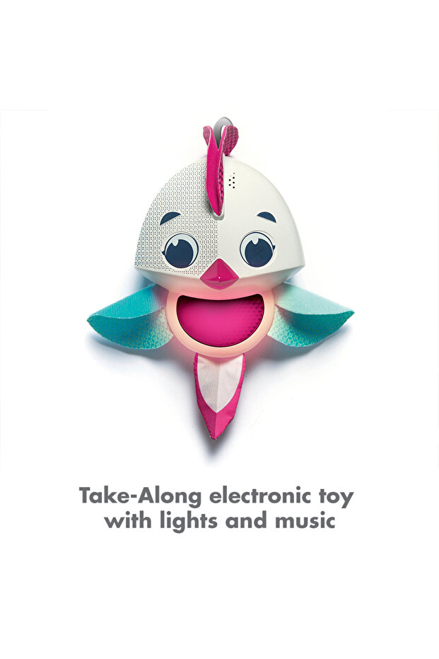 لعبة ألعاب نمو الأميرة الصغيرة للأطفال حديثي الولادة - 2