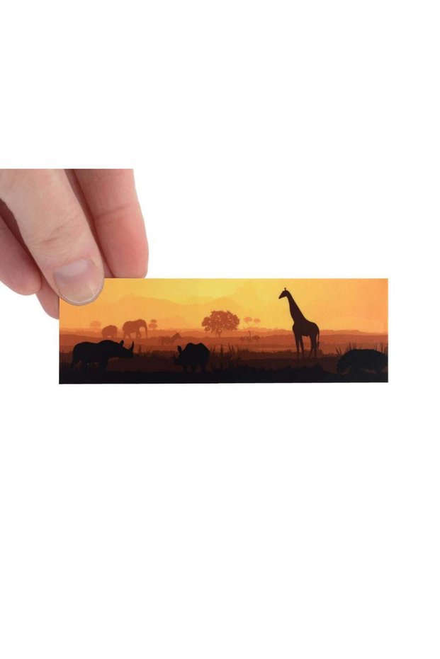 Fingerboard Deck Graphic Wrap
