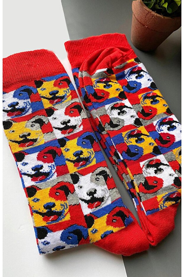 جوارب طويلة بنمط الكلب للرجال Clb - 4