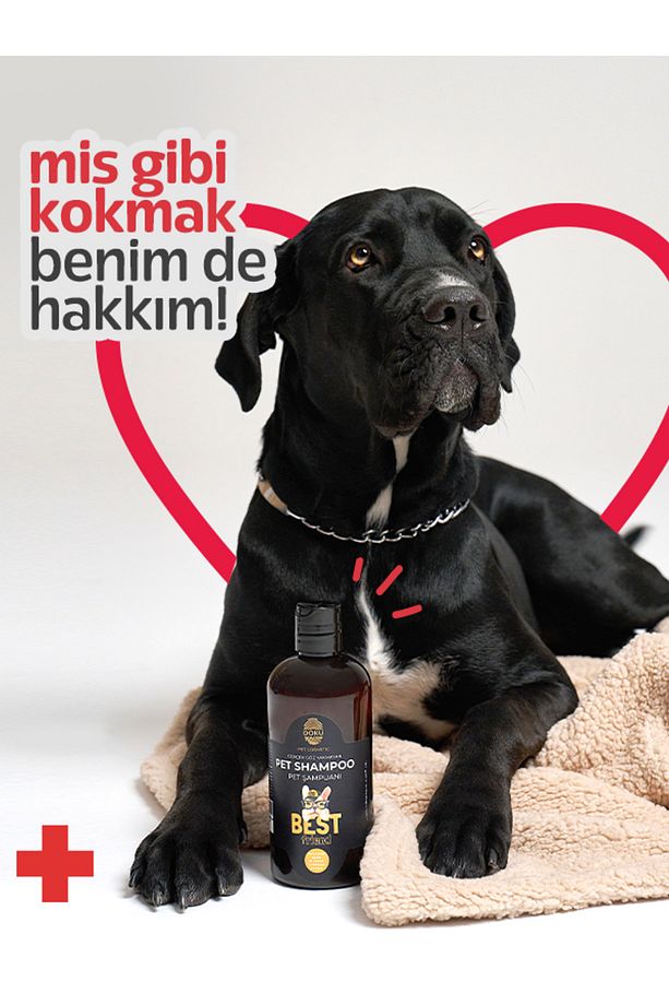 Pet Sampoo 500 ml - 4
