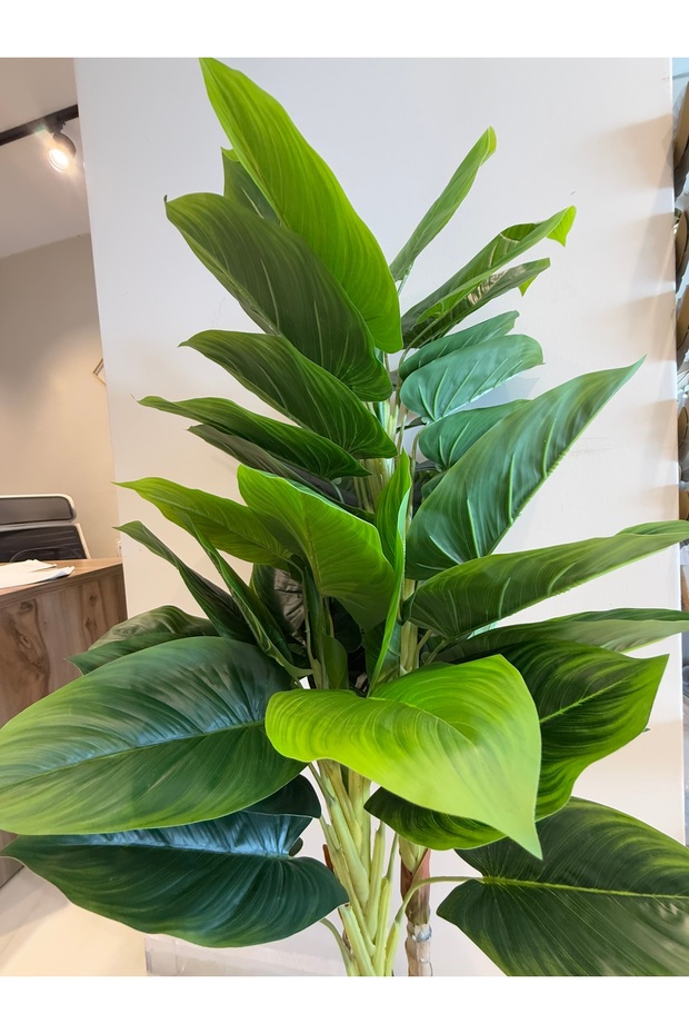 Green hibiscus130cm - 4