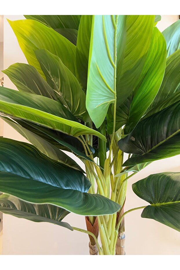 Green hibiscus130cm - 2