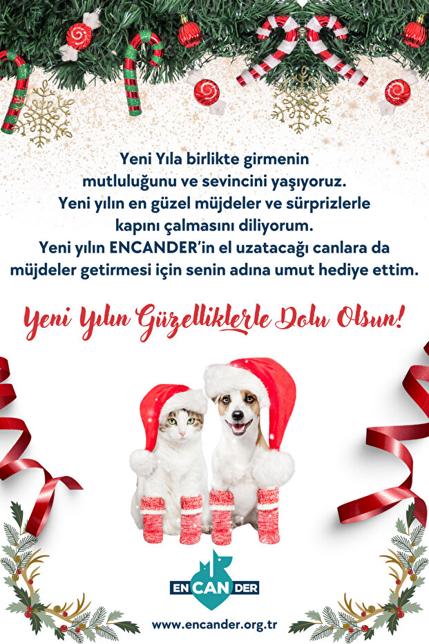 YILBAŞI KARTI
