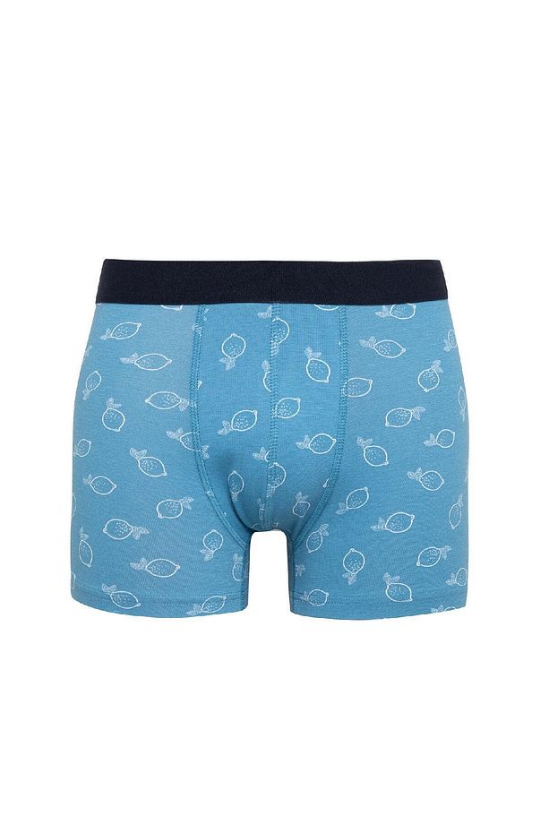 Regular Fit 3lü Boxer B7184ax24sm - 4