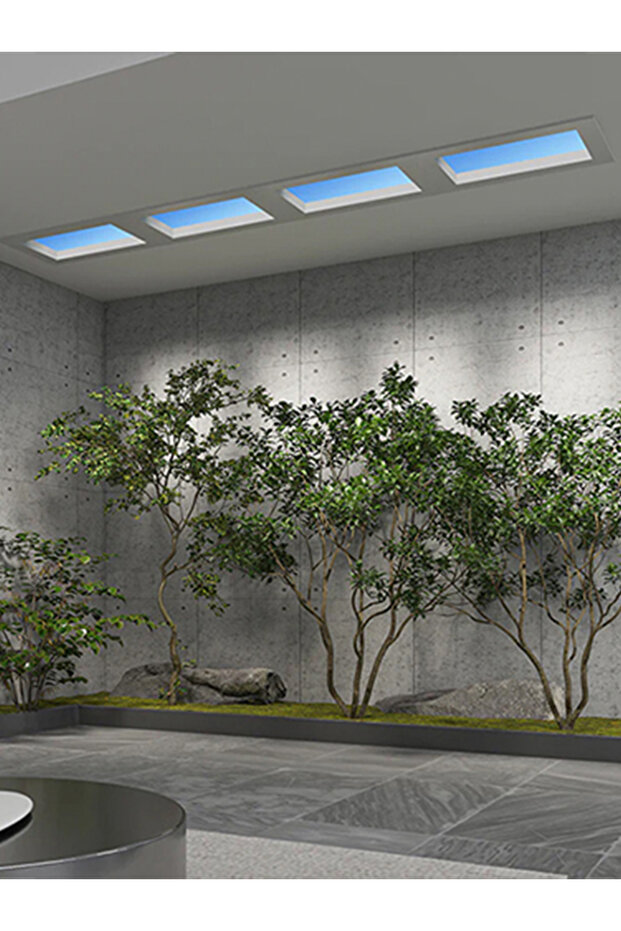 Skylight - 2