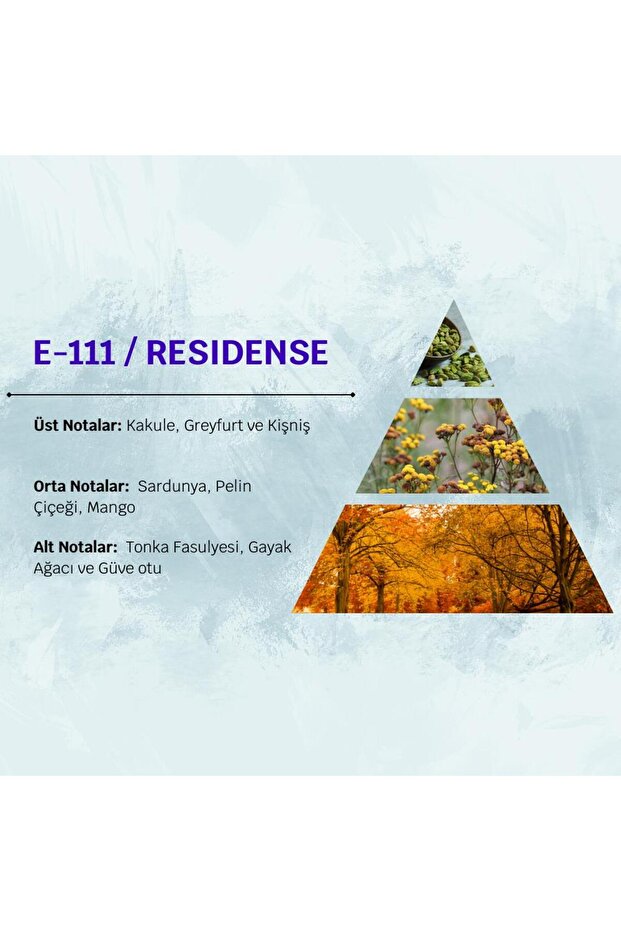 Resıdense E111 50ml Ferah Erkek Parfüm - 4