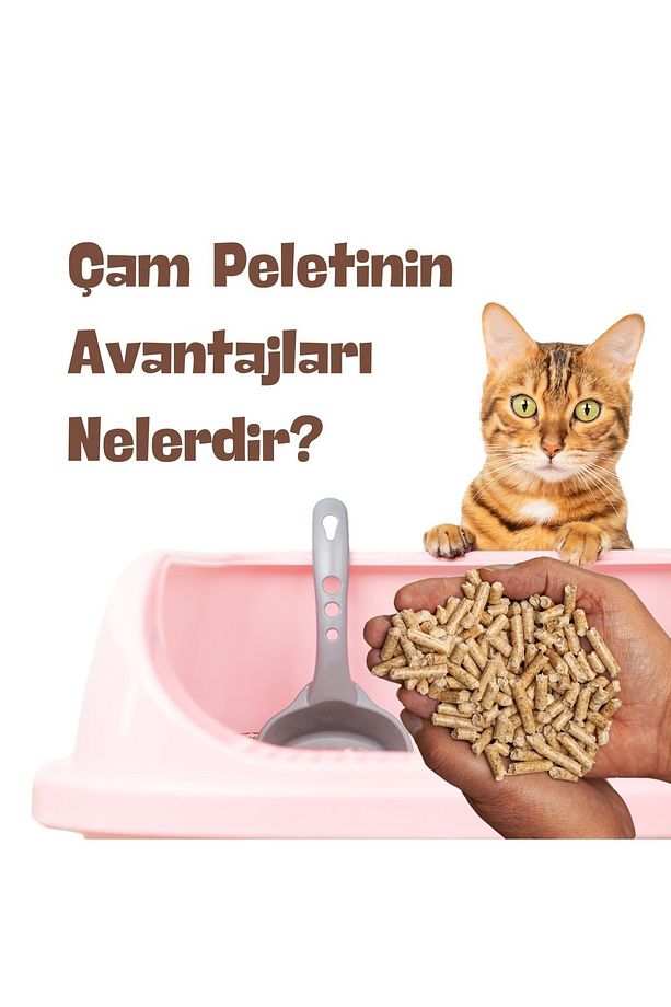 Enerji Çam Peleti Kedi Kumu 5 Lt - 5