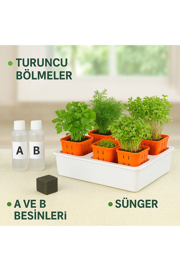 Topraksız Tarım Seti – 6 Bölmeli Mini Hidroponik Bahçe Seti - 3