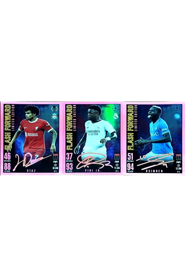 FLASH FORWARD LIMITED EDITION LOT - 1