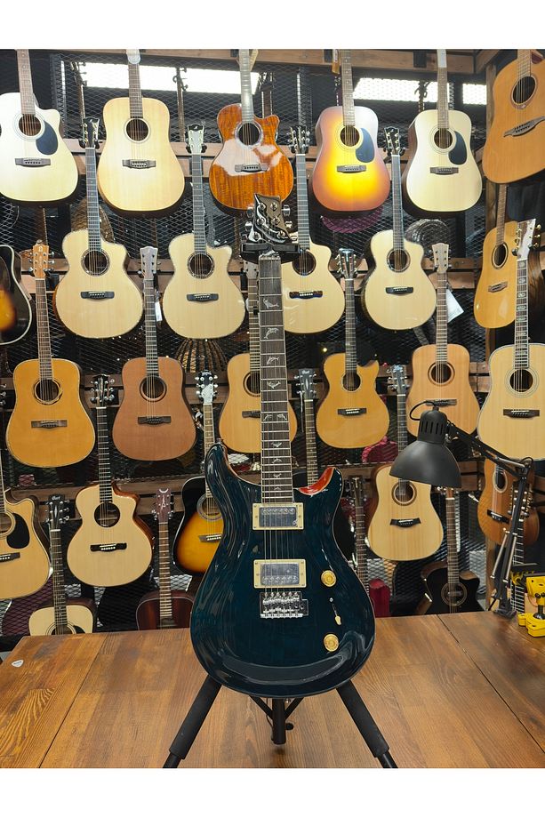 PRS- Pr1 Elektro Gitar - 2