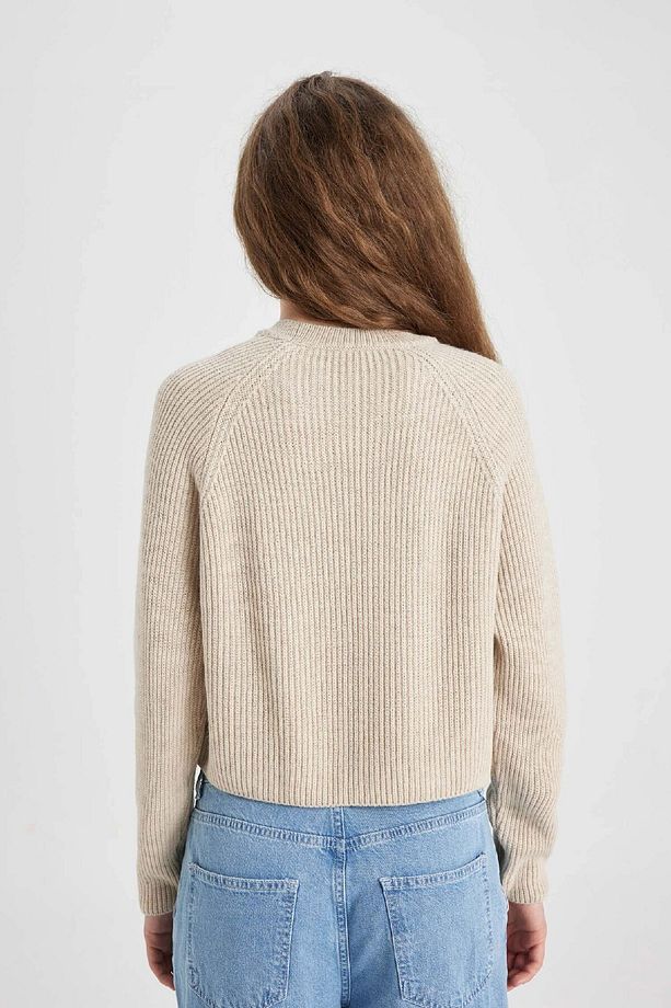 Coool Regular Fit Bisiklet Yaka Basic Düz Triko Kazak L2567az24wn - 6