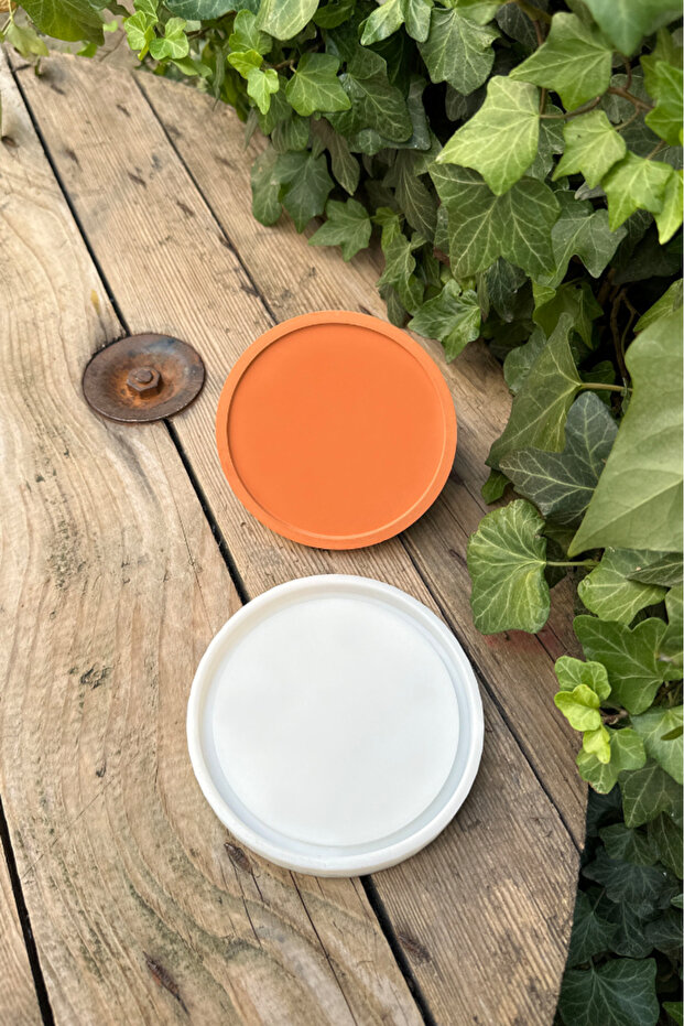 Dairesel Şekilli Tepsi Kalıbı (110MM ÇAP X10MM KALINLIK) (SİLİKON) ( 1 Adet ) - 2