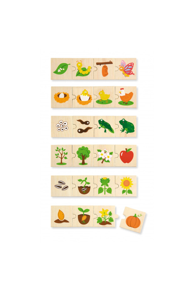 Puzzle sortator - Evolutie, Viga - 3