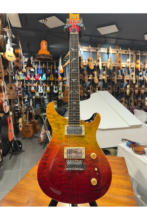 PRS- PR210 Elektro Gitar - 6