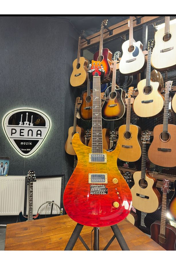 PRS- PR210 Elektro Gitar - 1